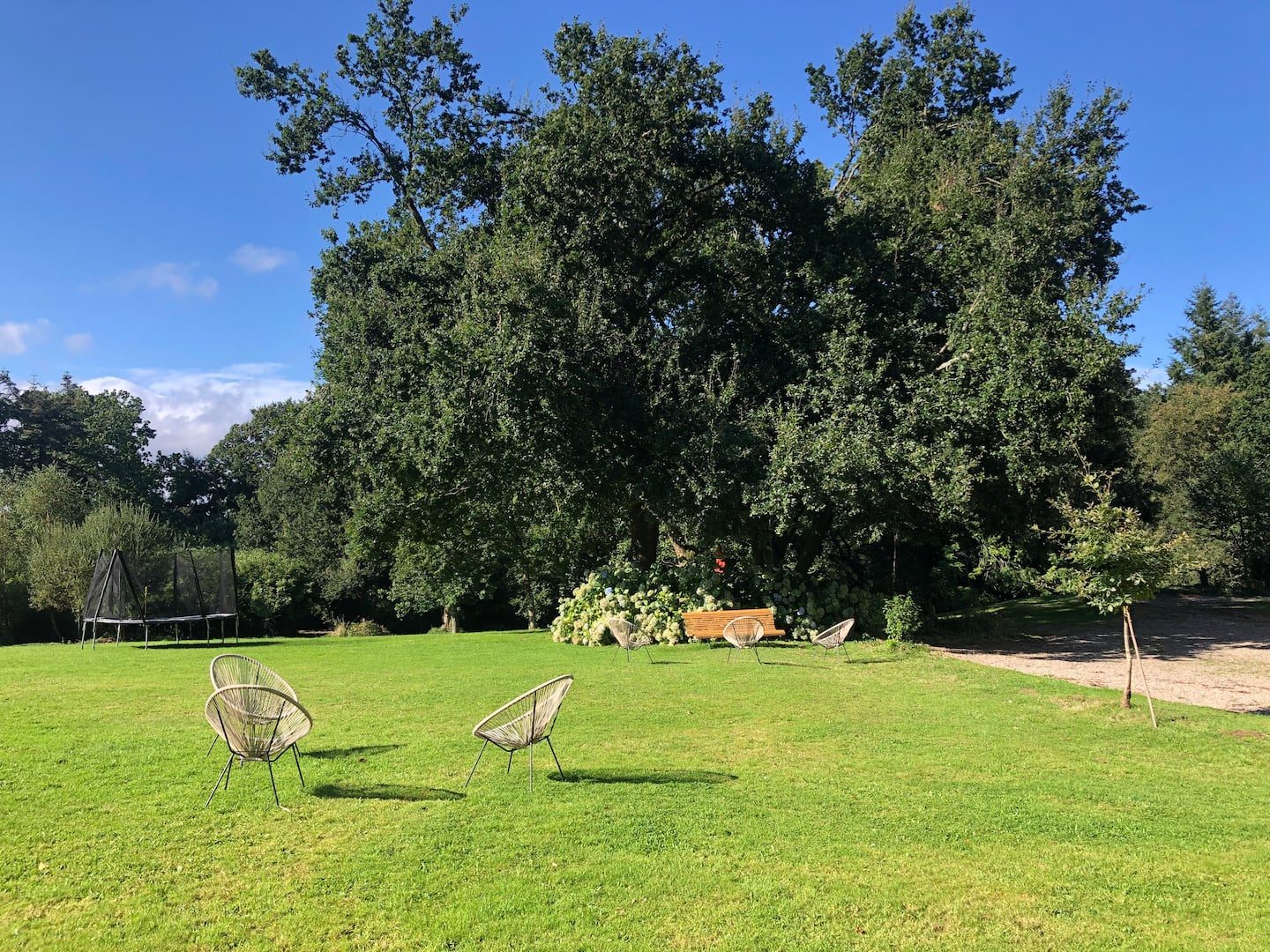 La pelouse, le trampoline et les fauteuils sous les arbres