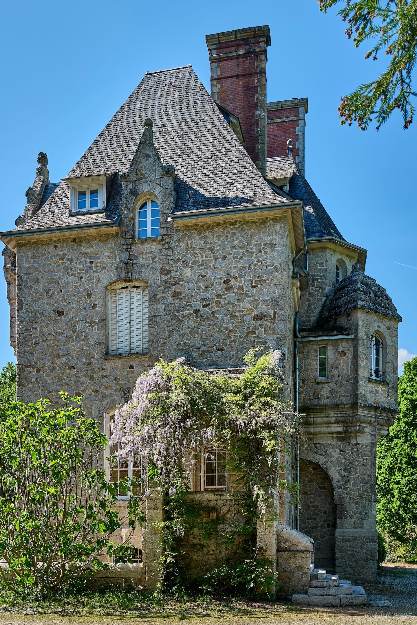La tourelle du château et sa glycine